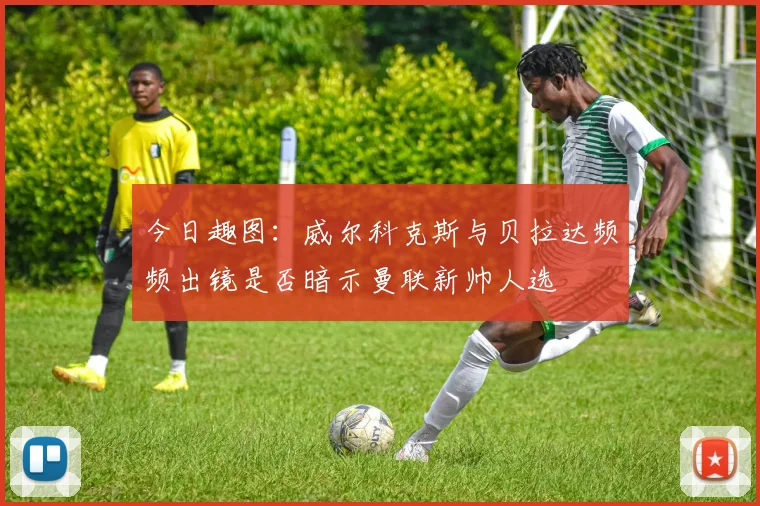 今日趣图：威尔科克斯与贝拉达频频出镜是否暗示曼联新帅人选