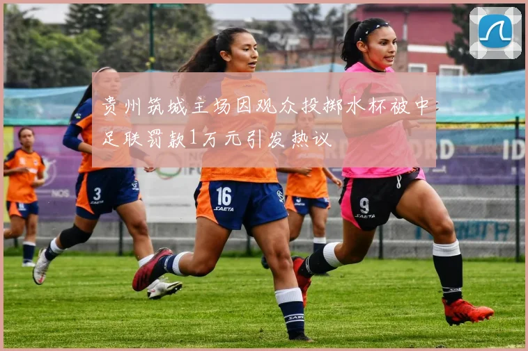 贵州筑城主场因观众投掷水杯被中足联罚款1万元引发热议